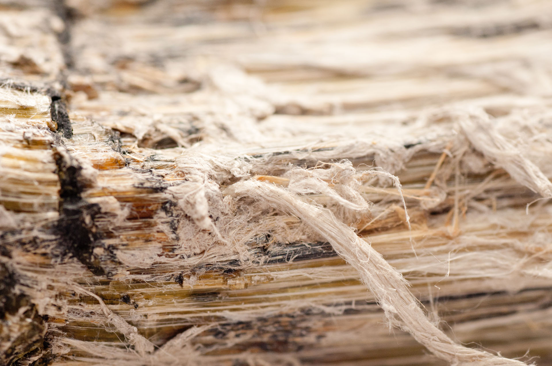 asbestos, serpentine fibers