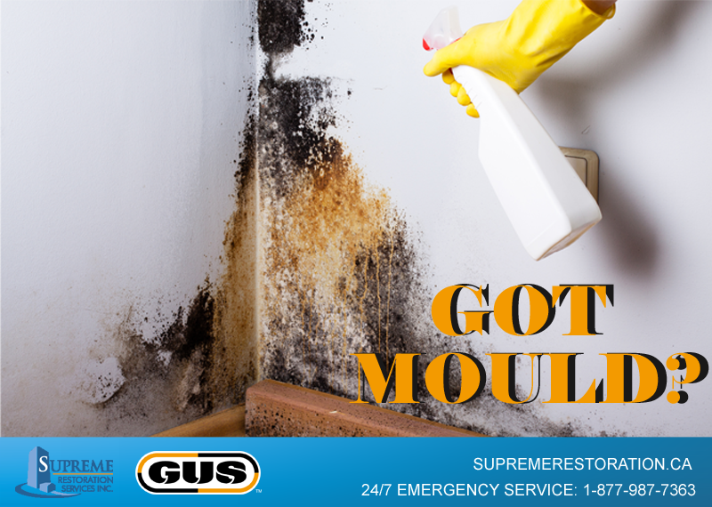 8 Ways To Prevent Mould From Growing In Your Home