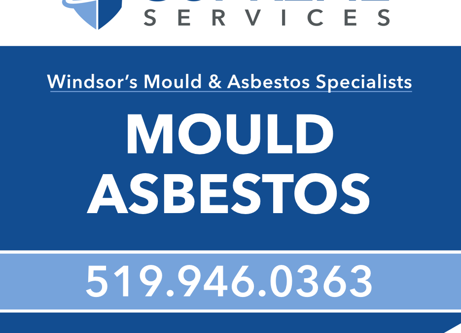 Windsor’s Mold and Asbestos Removal Experts