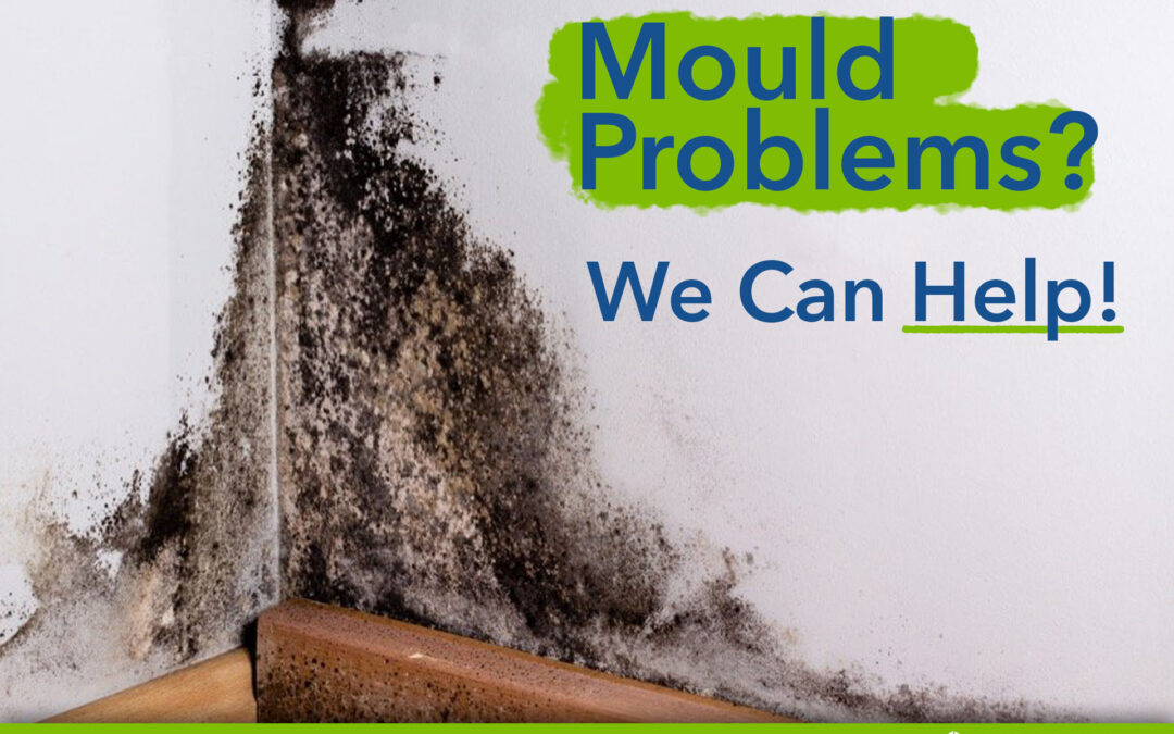 Ten Things You Should Know about Mould