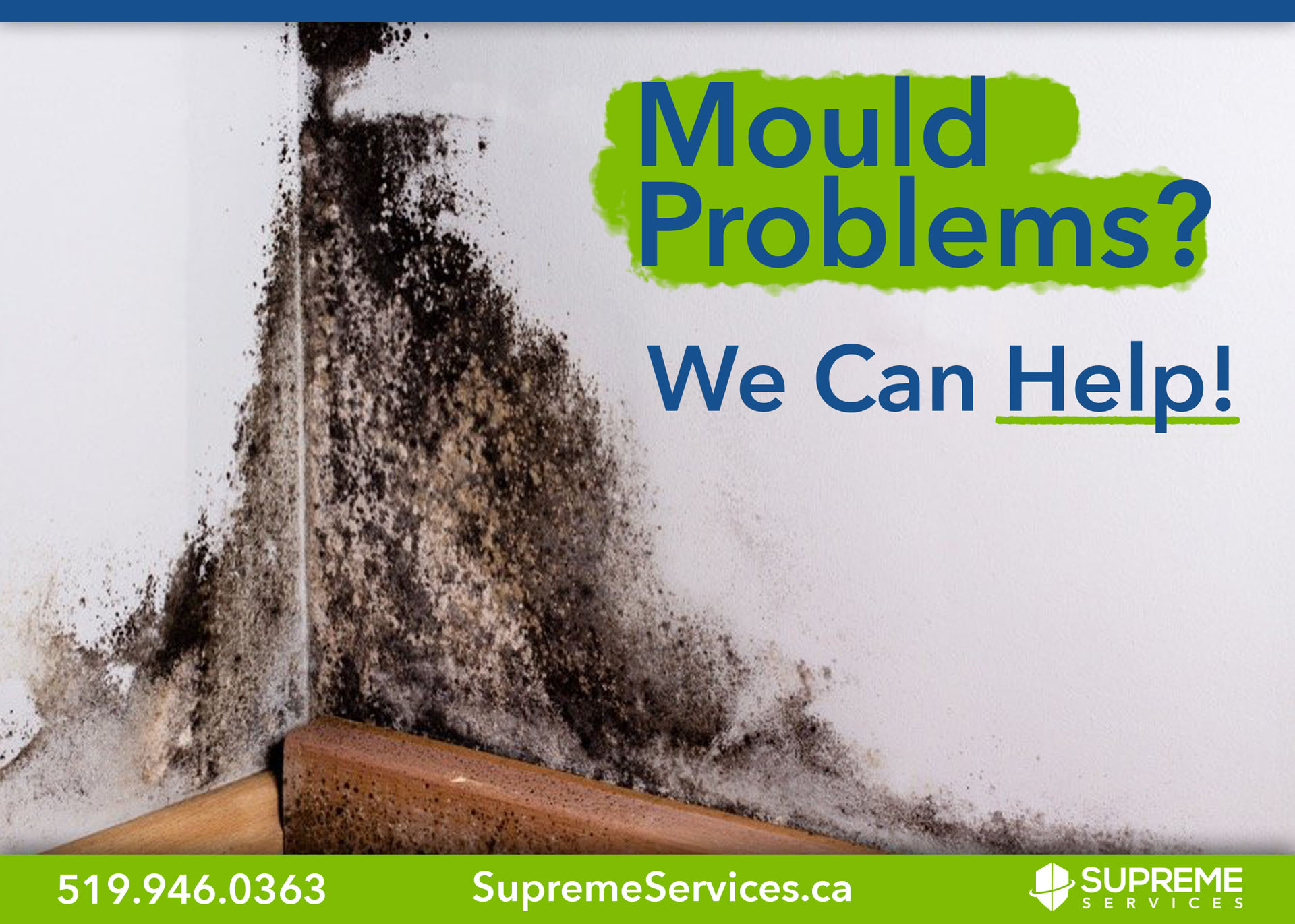 Mould Problems Ad