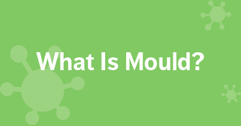 What Is Mould Graphic